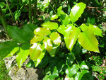 Sékoidon 30-06-12 02.jpg