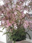 2012-07-02 15.17.26.jpg