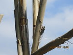 Photo 003.jpg
