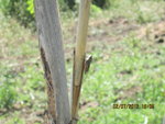 Photo 005.jpg
