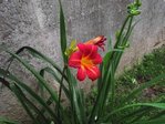 DSCF0060.JPG
