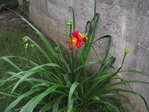 DSCF0061.JPG