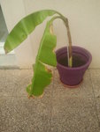 2012-07-03 11.40.33.jpg