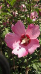 1-1-009.JPG