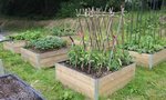 2012-07-03 15.42.41.jpg