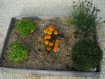 un zoom sur le carré Aromates