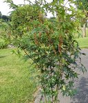 DSC00124.jpg