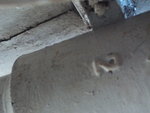 DSC01703.JPG