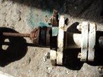DSC01717.JPG