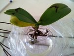 2012-07-04 17.24.58.jpg