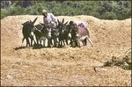 Ben-Hur.jpg