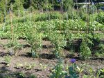 DSCF0557.JPG