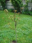 DSC01443.JPG