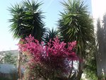 DSCF2858.JPG