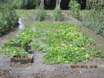 Photo 014.jpg