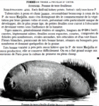 Pomme-de-Terre-a-feuille-d-ortie.gif