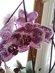 20120709_155508.jpg