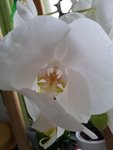 20120709_155523.jpg