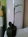 20120709_155545.jpg
