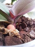 20120709_155608.jpg
