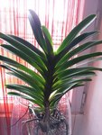 20120709_155630.jpg