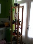 20120709_155705.jpg