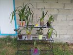 20120709_155759.jpg