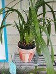 20120709_155808.jpg