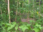 SANY0020.JPG