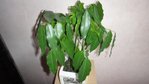 DSC03845.JPG
