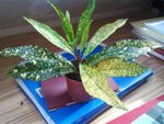plante.jpg