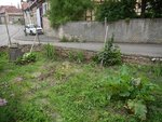 JARDIN2.jpg