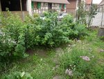JARDIN3.jpg