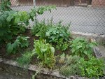 JARDIN5.jpg