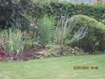 2012-07-12 remaniement suite x.jpg