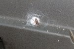 Identification?