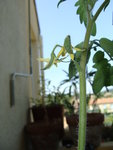 DSC02593.JPG