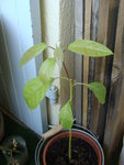 DSC02590.JPG