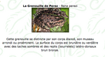 Capture d’écran 2012-07-15 à 11.37.49.png