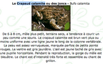 Capture d’écran 2012-07-15 à 11.38.11.png
