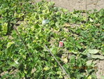 Photo 030.jpg