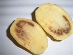 pommes de terre 001 (WinCE).jpg