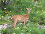 IMG_0028.jpg