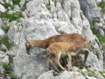 IMG_0034.jpg