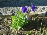 2012-07-17 19.43.51.jpg
