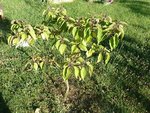 2012-07-17 19.45.09.jpg