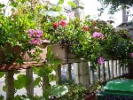 Vue générales des jardinières côté rue