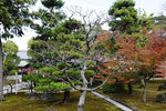mume_KYO1856 - copie_56.JPG