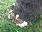 IMG_0830.jpg