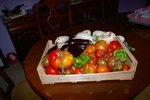 IMGP0664.jpg